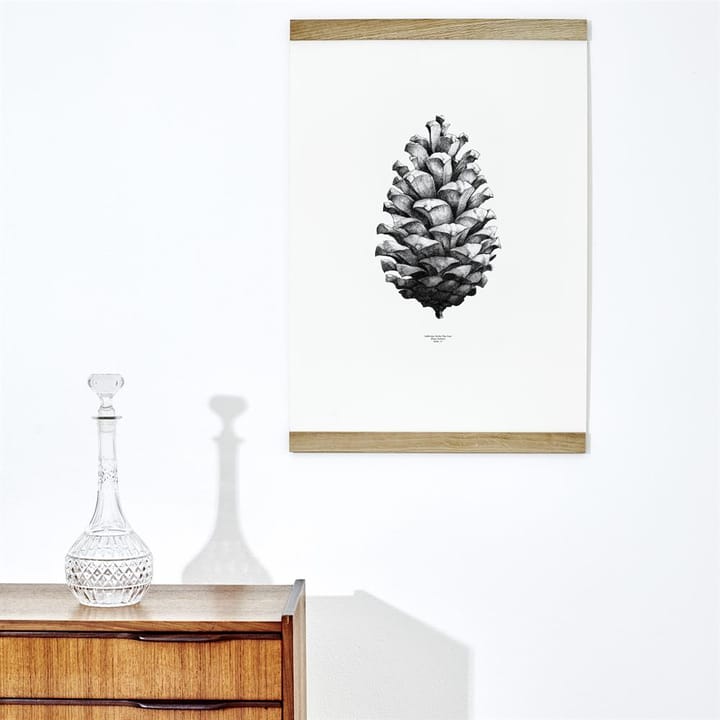1:1 Pine Cone juliste, valkoinen, 50x70 cm Paper Collective