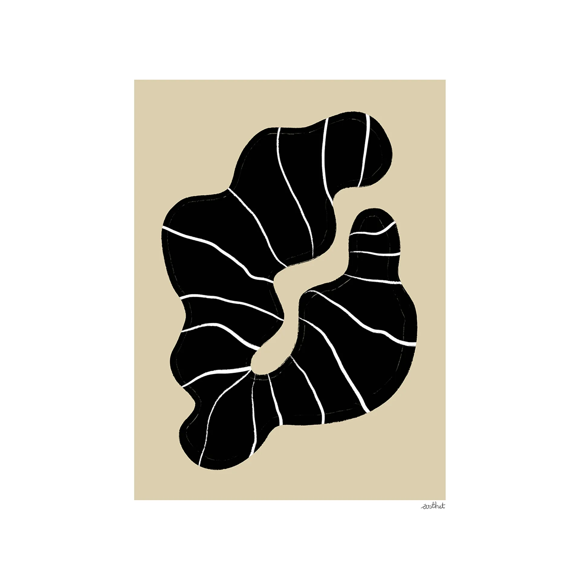 Beach Find juliste, 50x70 cm Paper Collective