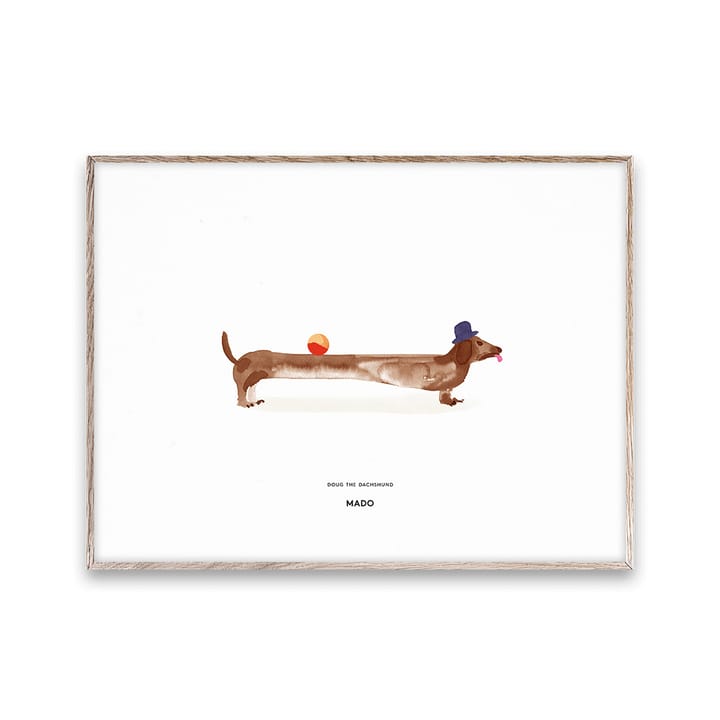 Doug the Dachshund -juliste, 30 x 40 cm Paper Collective