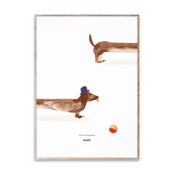 Doug the Dachshund -juliste, 50 x 70 cm Paper Collective