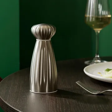 Palm Satin suolamylly - Small-ruostumaton teräs - Robert Welch