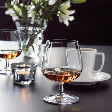 Grand Cru konjakkilasi 2 kpl - kirkas 2 kpl - Rosendahl