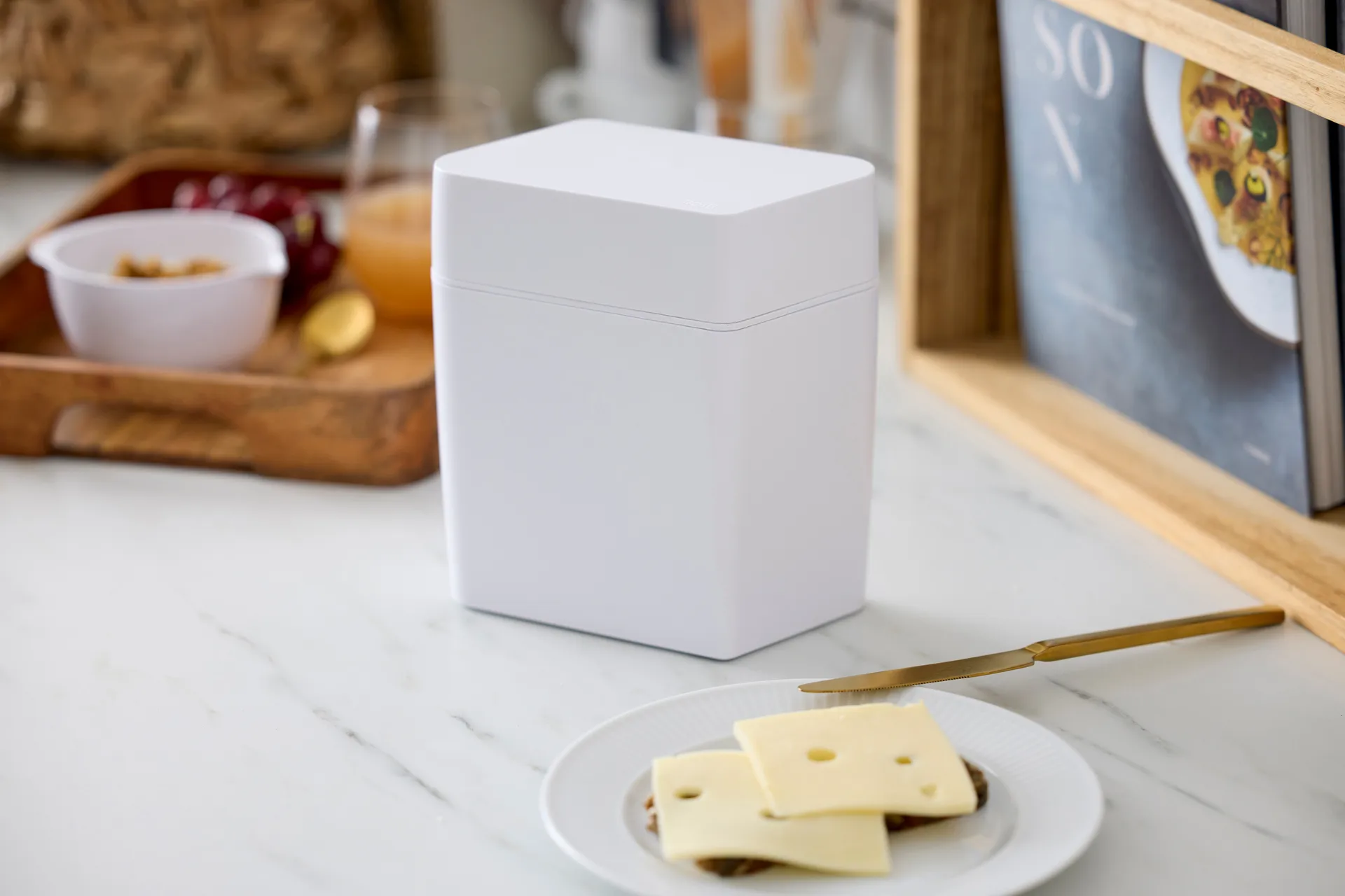 Klassinen juustolaatikko sisältäen juustoleikkurin 16,5x10x19 cm, Valkoinen Rosti