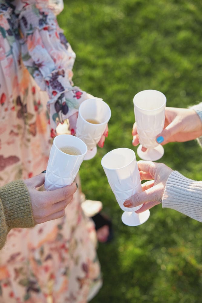 Picknick samppanjalasi 4-pakkaus, Valkoinen Sagaform