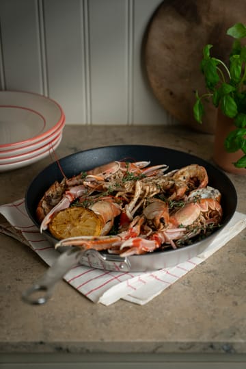 Samuel Groves non stick paistinpannu - Ø30 cm - Samuel Groves