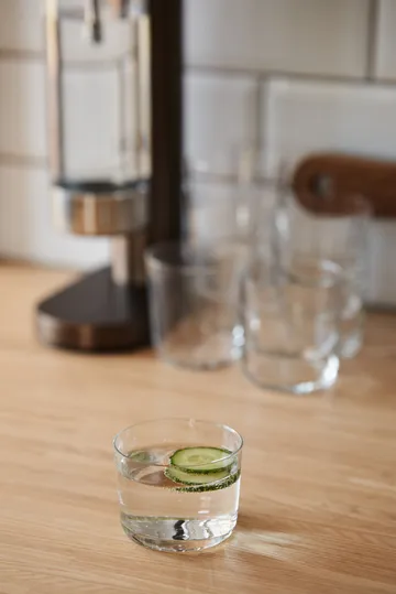 Day to Day juomalasi 22 cl 6-pakkaus - Scandi Living