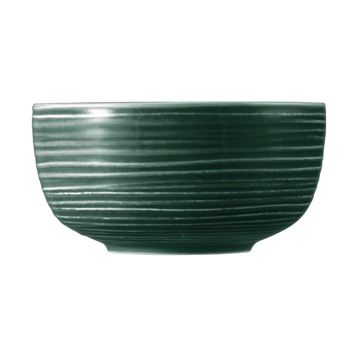 Terra kulho Ø 17,7 cm 2-pakkaus, Moss Green Seltmann Weiden