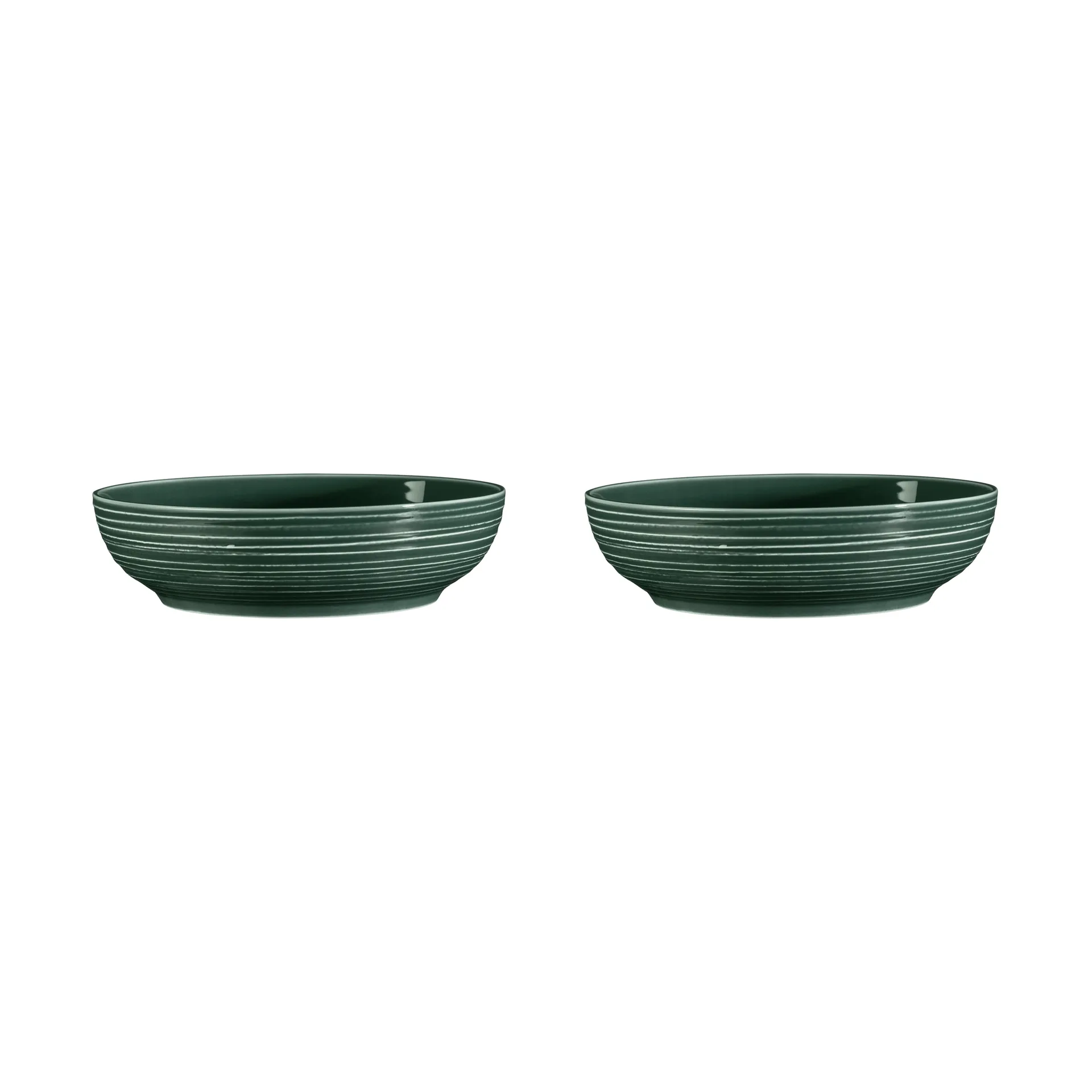 Terra kulho Ø 25,5 cm 2-pakkaus, Moss Green Seltmann Weiden