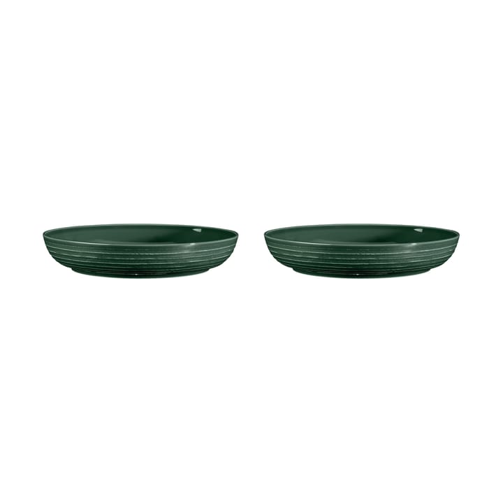 Terra kulho Ø 28 cm 2-pakkaus - Moss Green - Seltmann Weiden