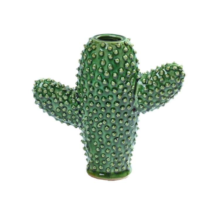 Serax kaktusmaljakko, Small Serax