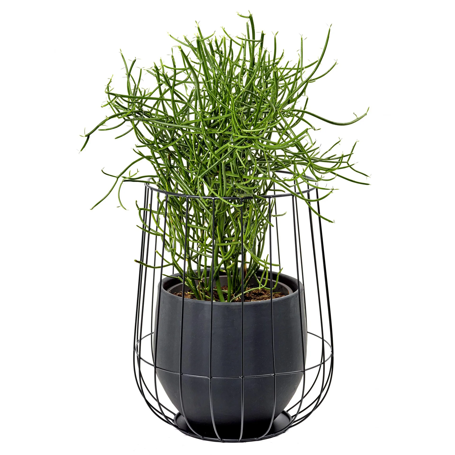 Serax kukkaruukku korissa Ø37 cm k46 cm, Black Serax