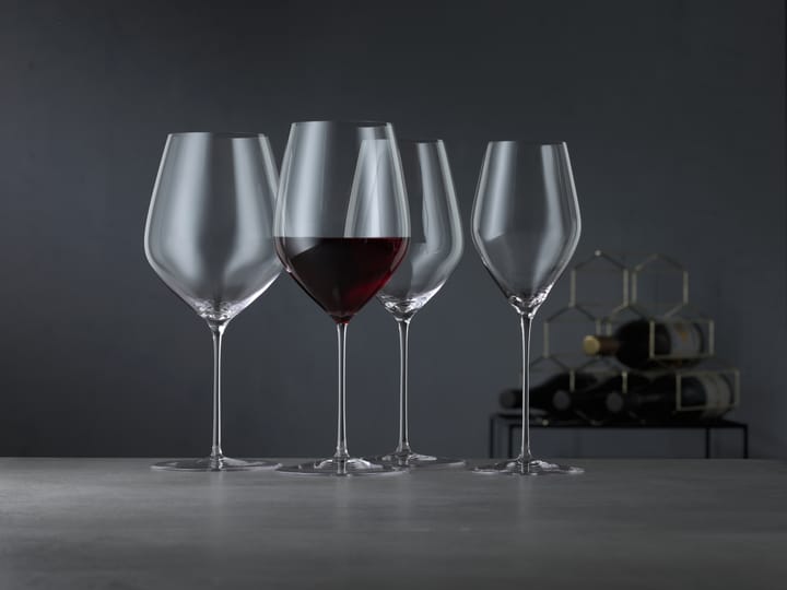 HI-LITE champagne-lasi 34 cl 2-kpl pakkaus, Kirkas Spiegelau