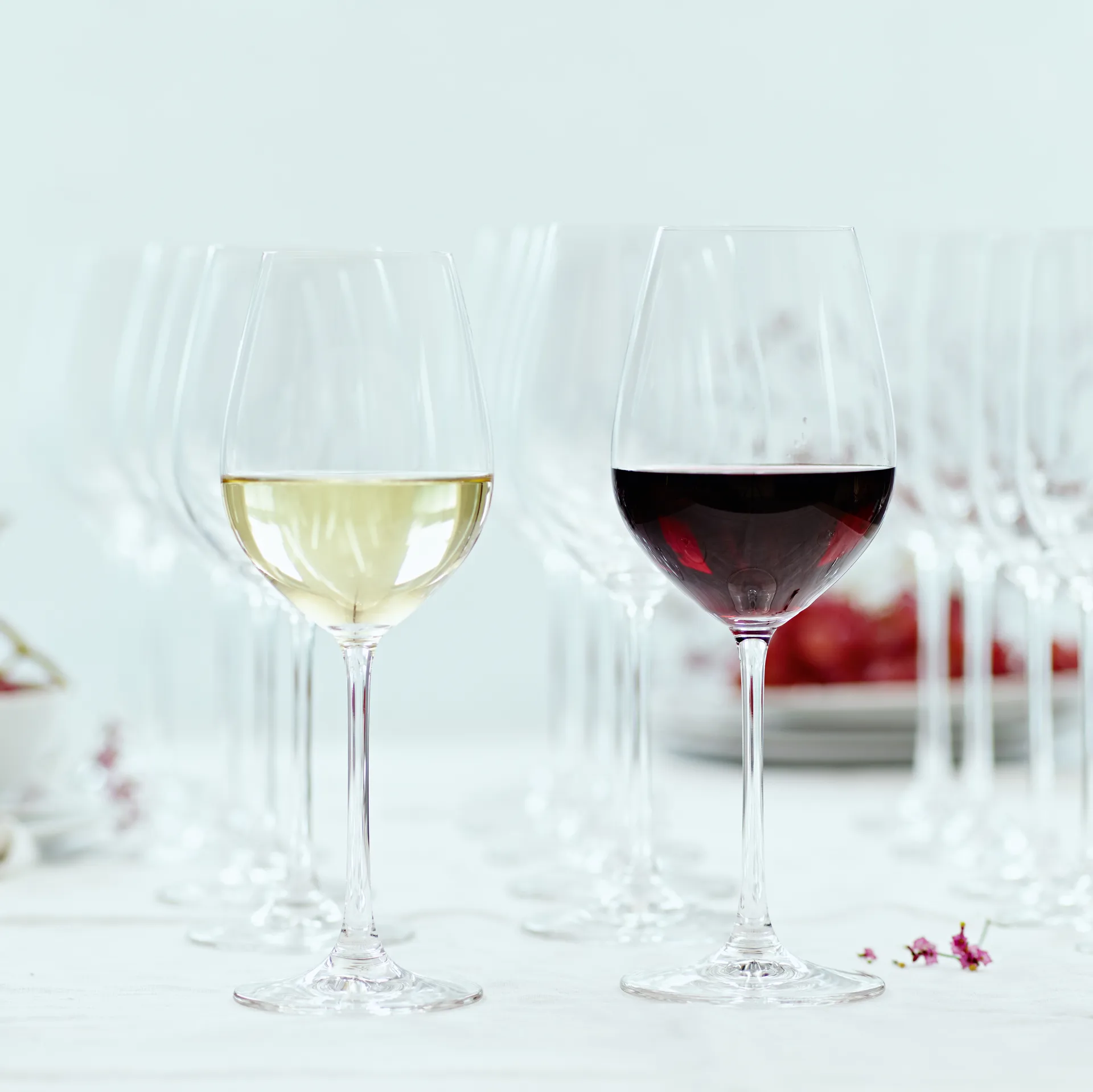 Salute-valkoviinilasi 47 cl. 4-pack, kirkas Spiegelau