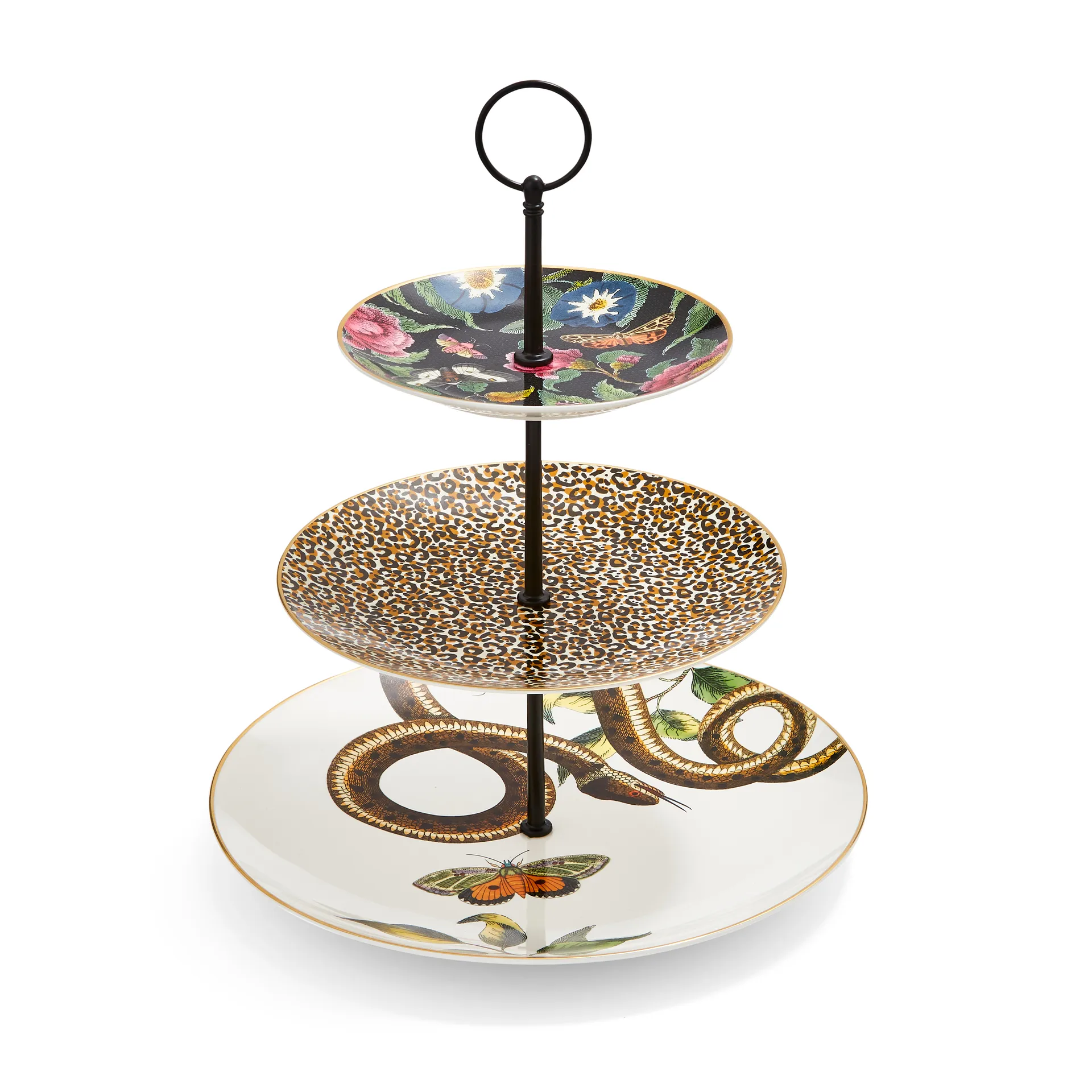 Creatures of Curiosity -kakkuastia, Kuvio Spode