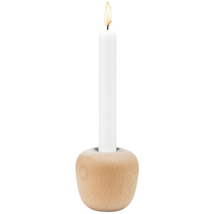 Ora kynttilänjalka, puu, Suuri Stelton