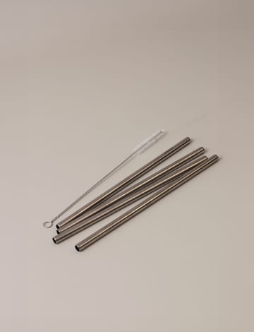 Stelton uudelleenkäytettävät pillit 4-pack - Teräs - Stelton