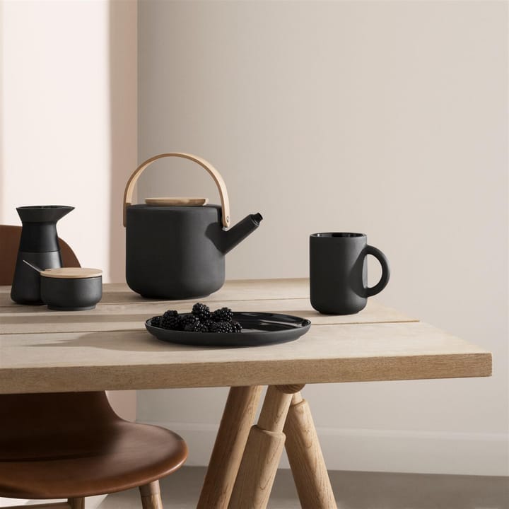 Theo lautanen 2-pakkaus, 22 cm Stelton